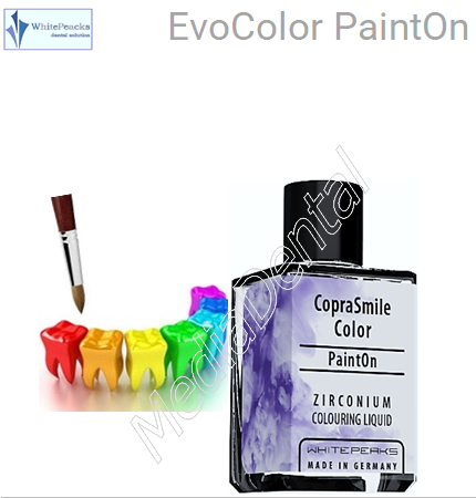 EvoColor PaintOn