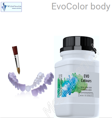 EvoColor body